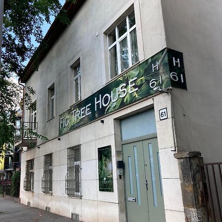 Apartament Fig Tree House Budapeszt Zewnętrze zdjęcie